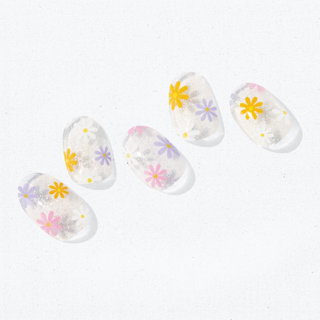 Ohora N Daisy Disco ND-081-G