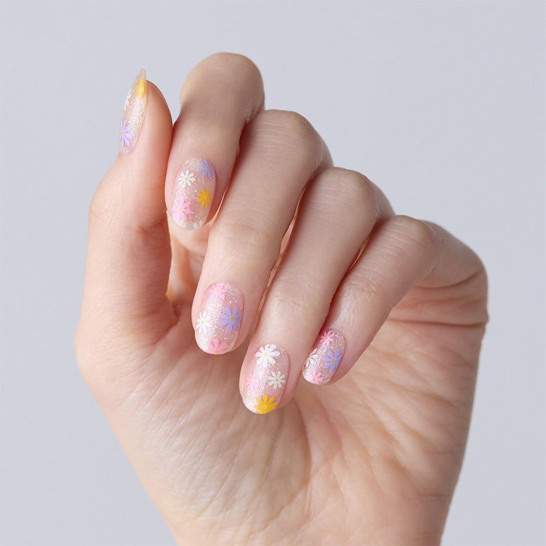 Ohora N Daisy Disco ND-081-G