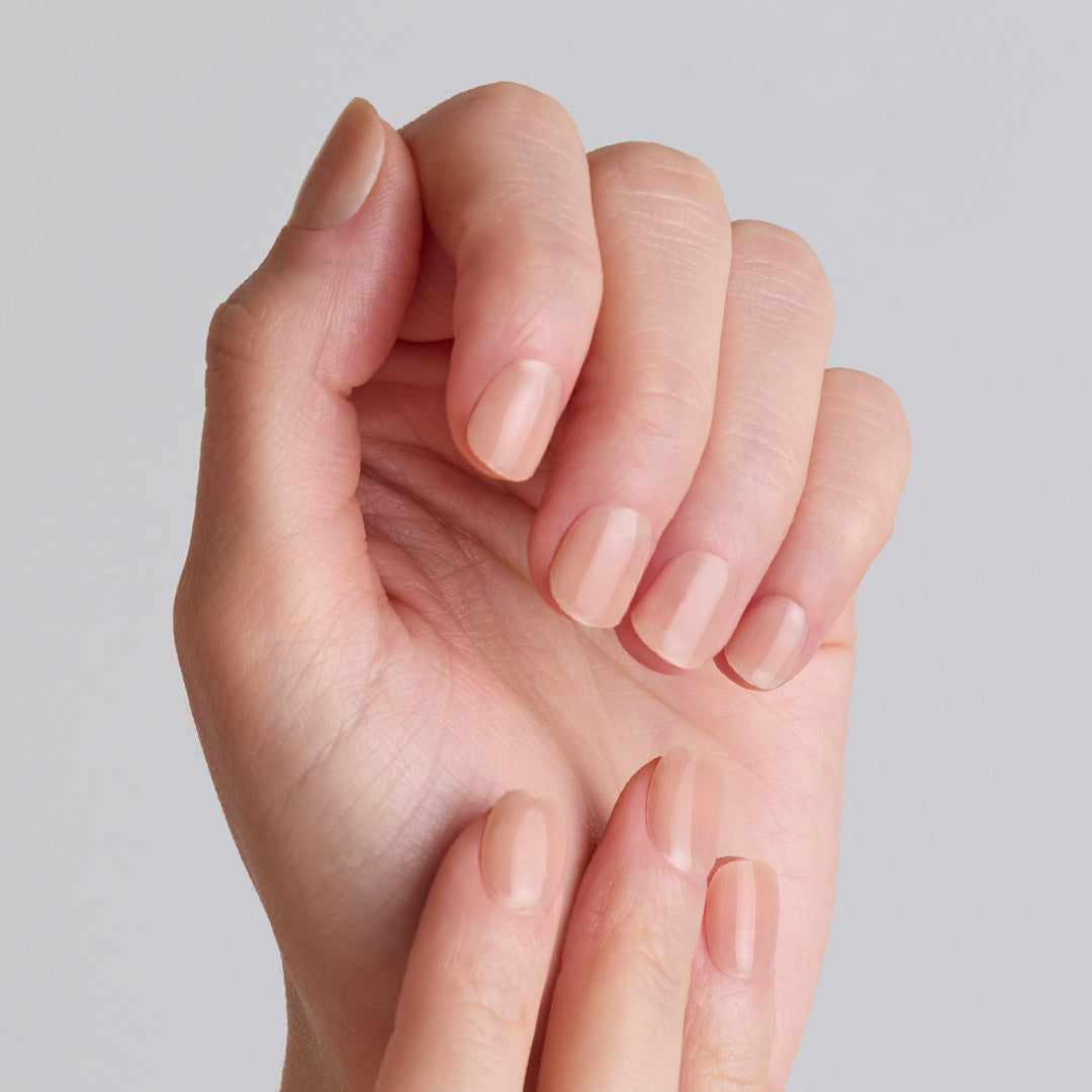 ohora N Bare Milk Tea ND-088-G