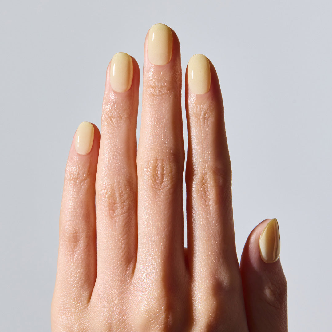 ohora N Butter Veil ND-489