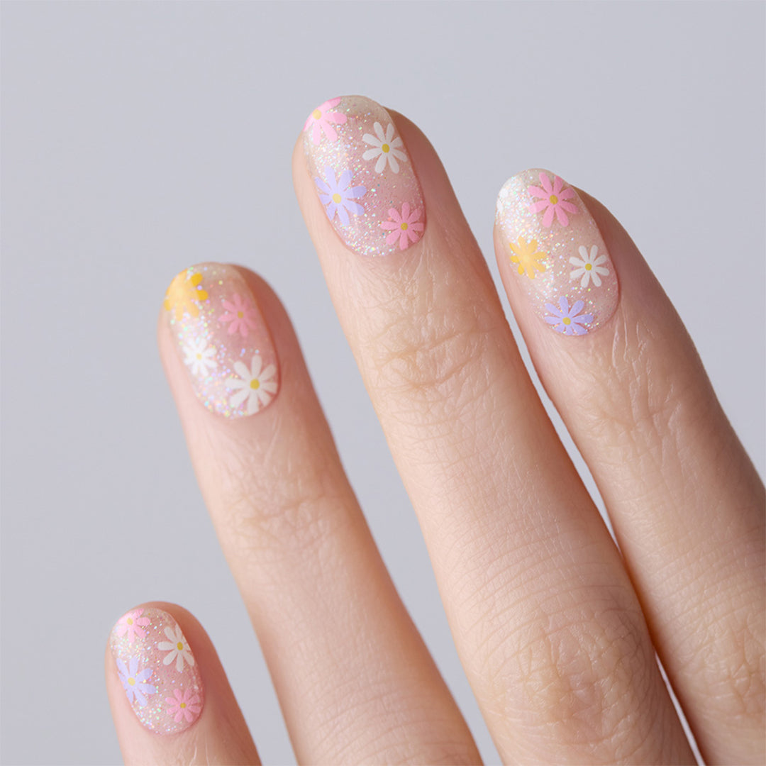 Ohora N Daisy Disco ND-081-G