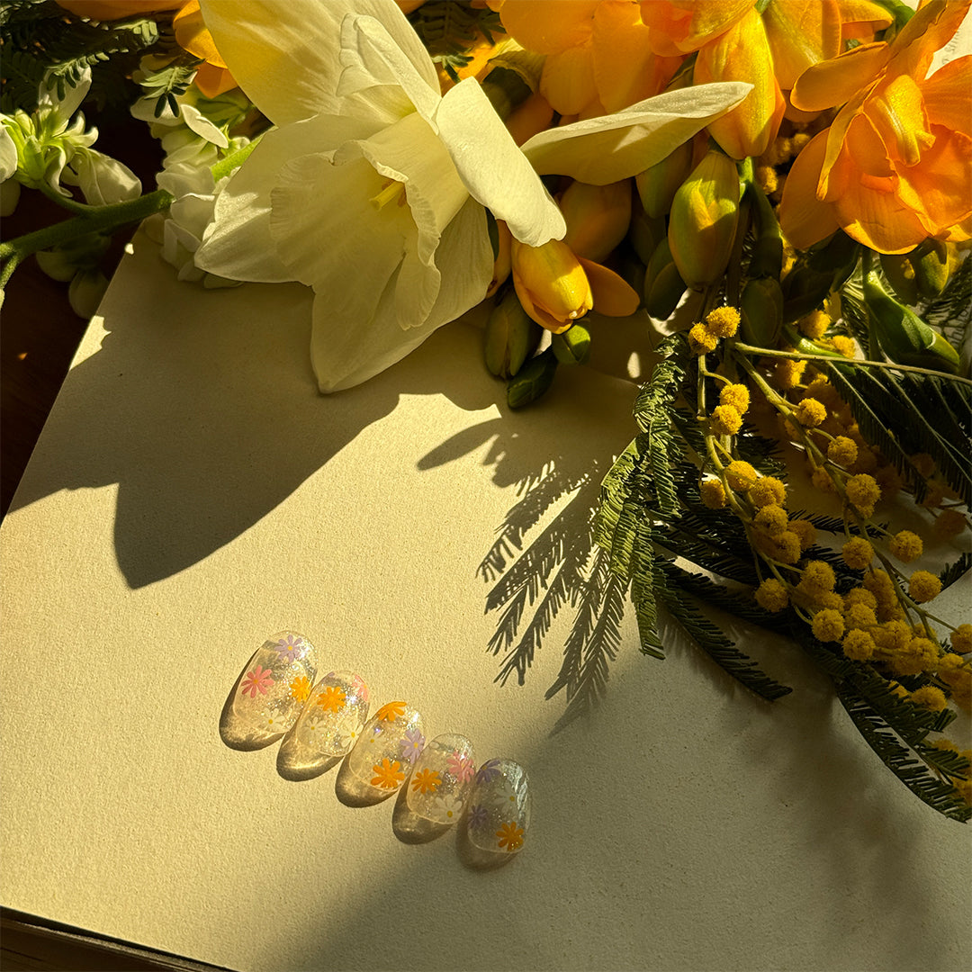 Ohora N Daisy Disco ND-081-G