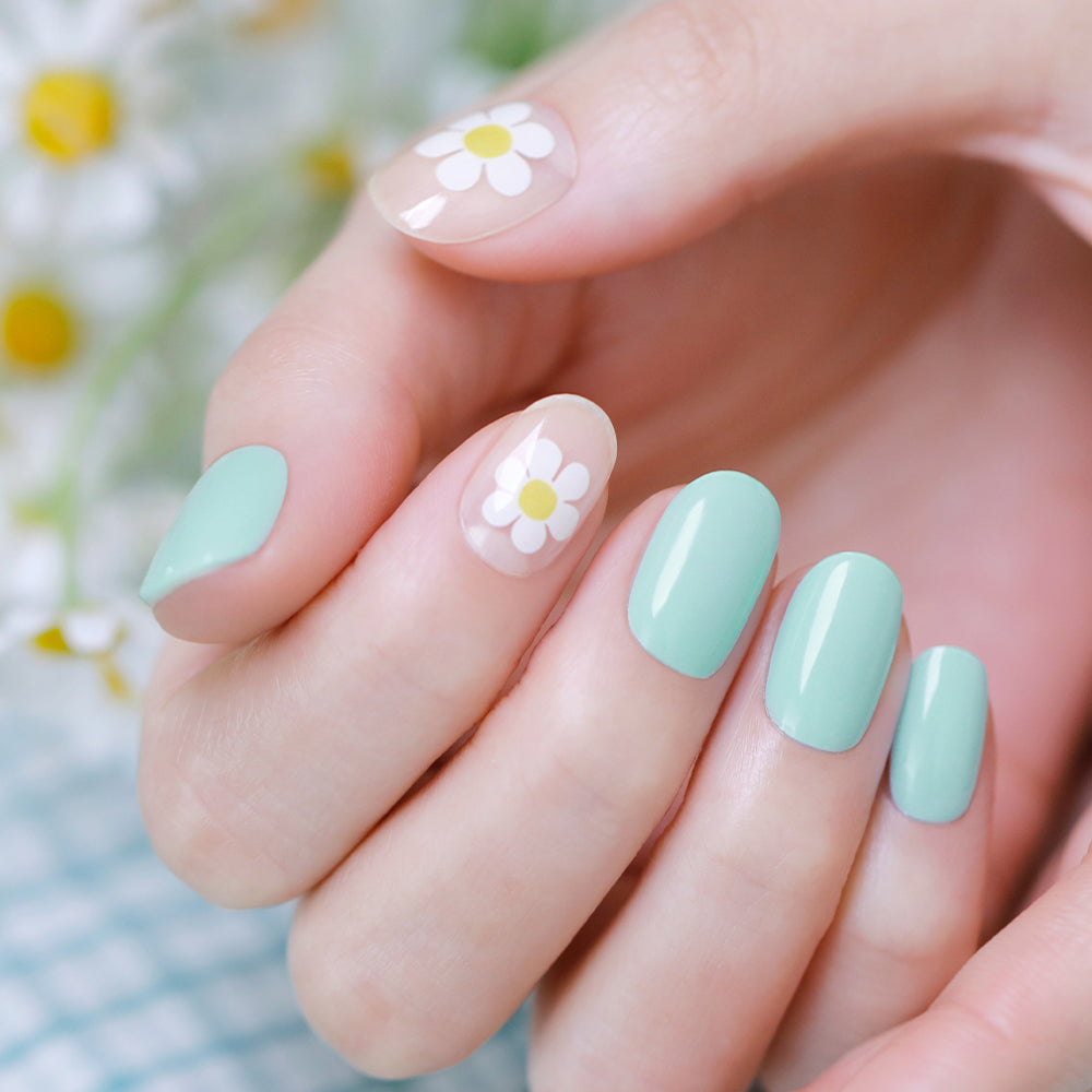 Ohora N Daisy Mint ND-415