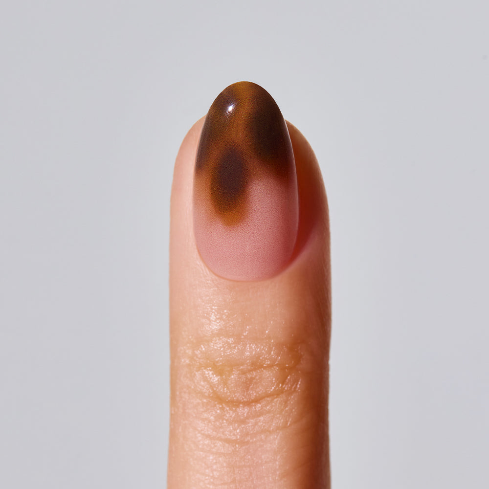 ohora Smoky Tortoise (Oval/Medium)