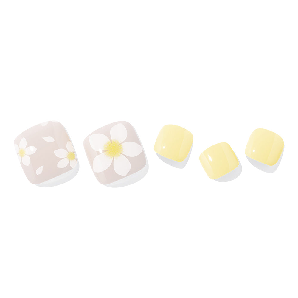 Ohora P Frangipani PD-207