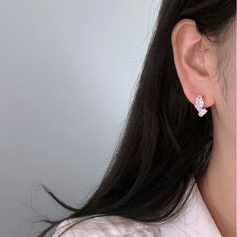 Cubic Crystal Earrings E0013