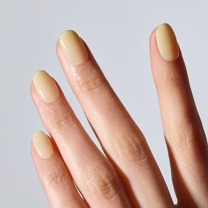 ohora N Butter Veil ND-489