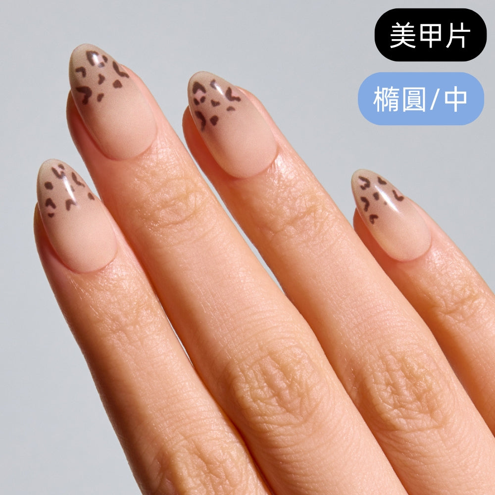 ohora Milky Leo (Oval/Medium)