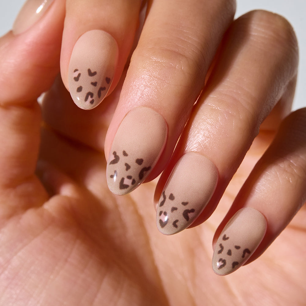 ohora Milky Leo (Oval/Medium)