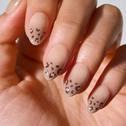 ohora Milky Leo (Oval/Medium)