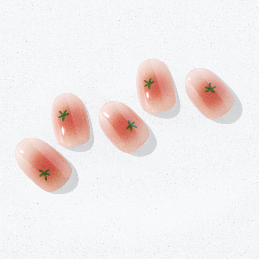 ohora N Petite Tomato ND-497