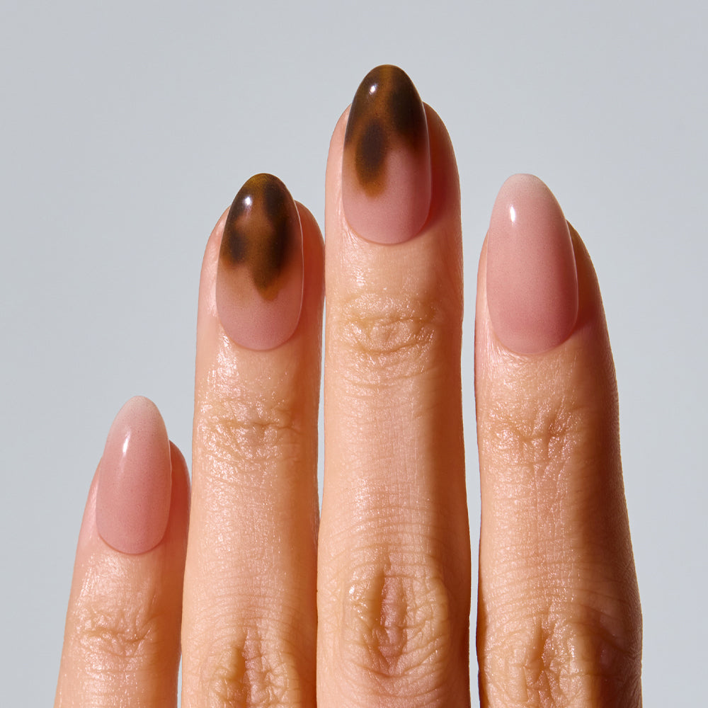 ohora Smoky Tortoise (Oval/Medium)