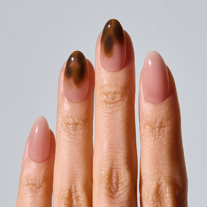 ohora Smoky Tortoise (Oval/Medium)